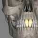 Are Teeth Bones
